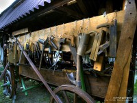 /album/fotogaleria/a77-jpg/